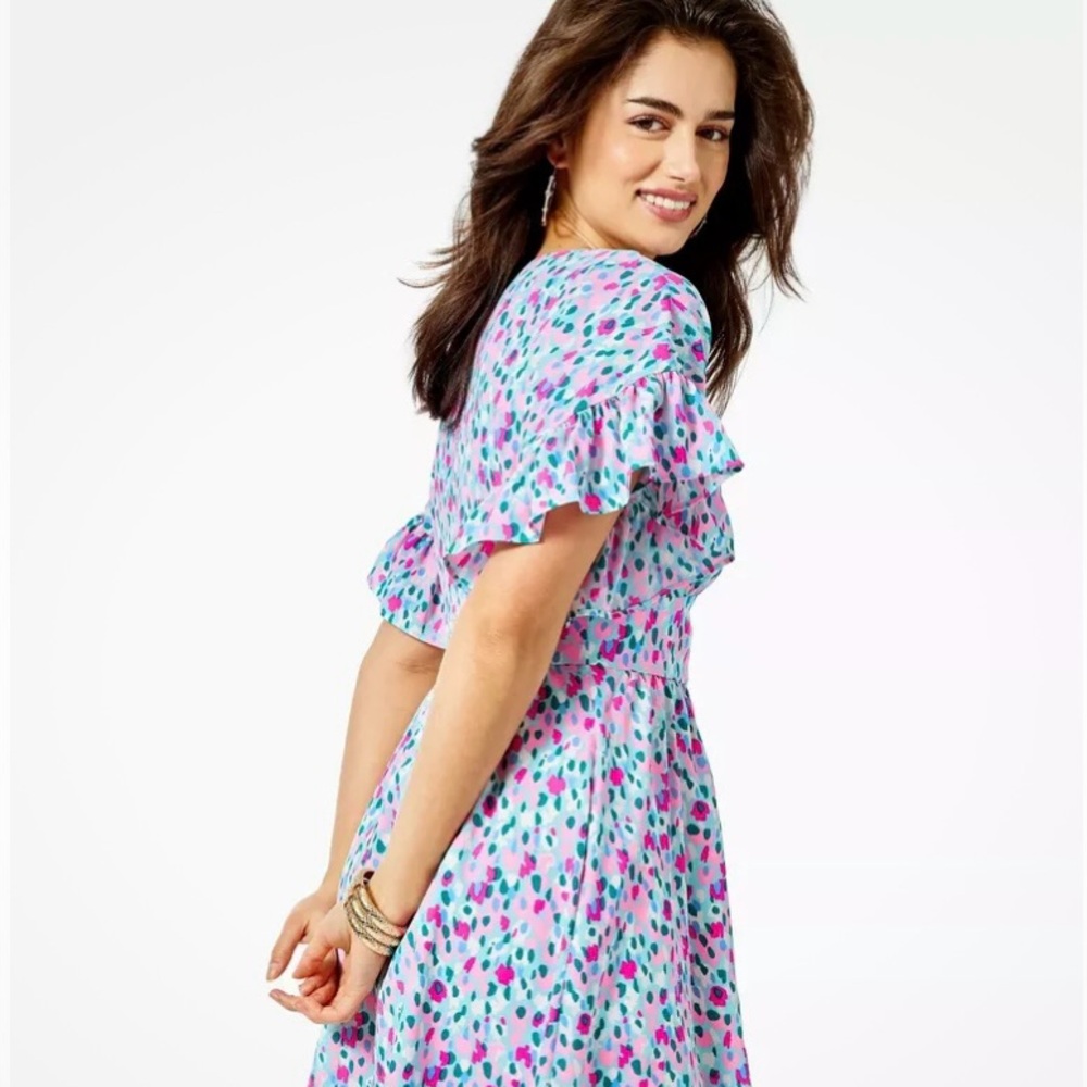 NWT Lily Pulitzer Blaire Stretch Dress, Print is Hottie Dottie, Size 2